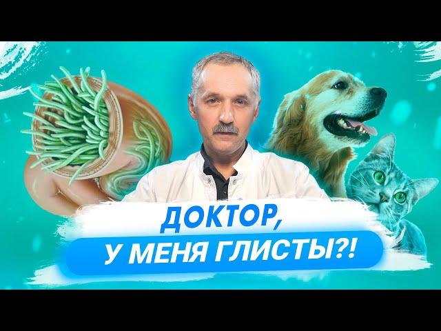 Глисты. Кто входит в группу риска? Как избавиться от глистов? / Доктор Виктор