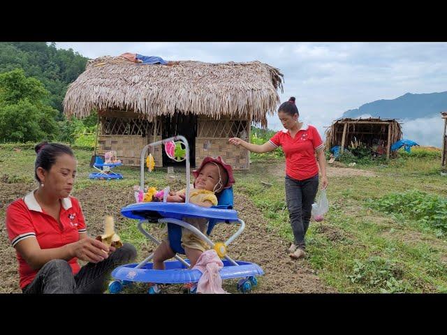 Pang Yen Nhi started to rebuild the vegetable garden around the small house, full of love