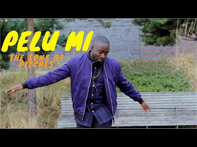 Pelu Mi - The Sons of Pitches [OFFICIAL VIDEO]