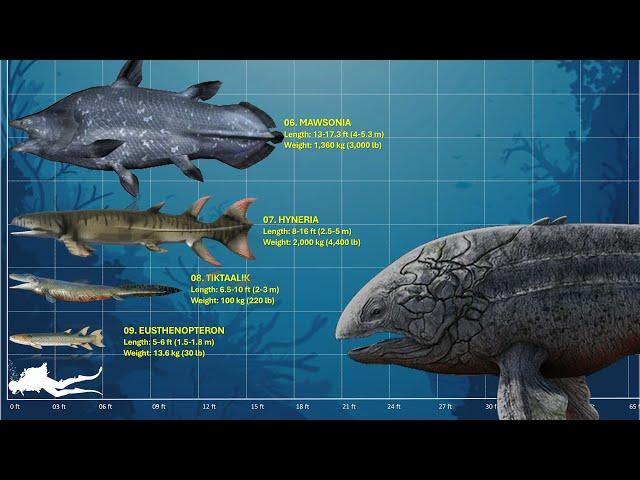 The 10 Largest  Prehistoric Fishes