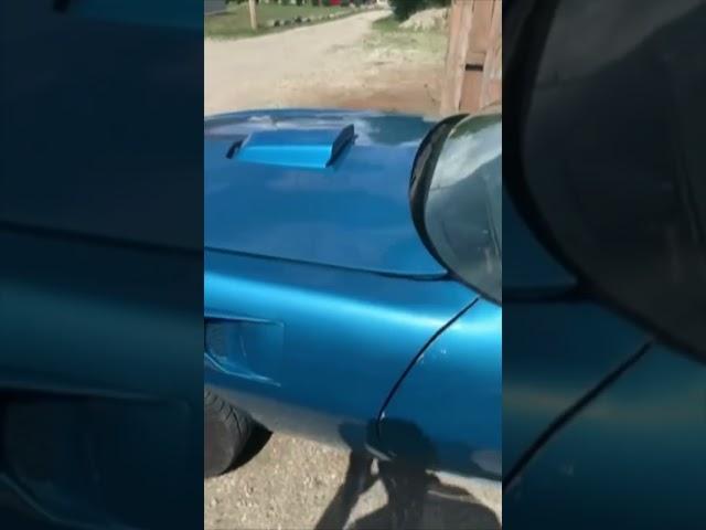 Dust Knocked Off a Bit!! 2nd Gen LS Firebird #shorts #chevy