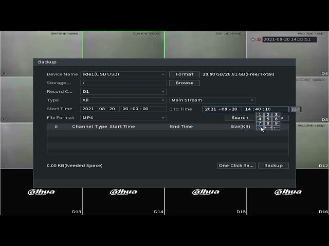 DAHUA Dual LAN NVR - Footage Backup