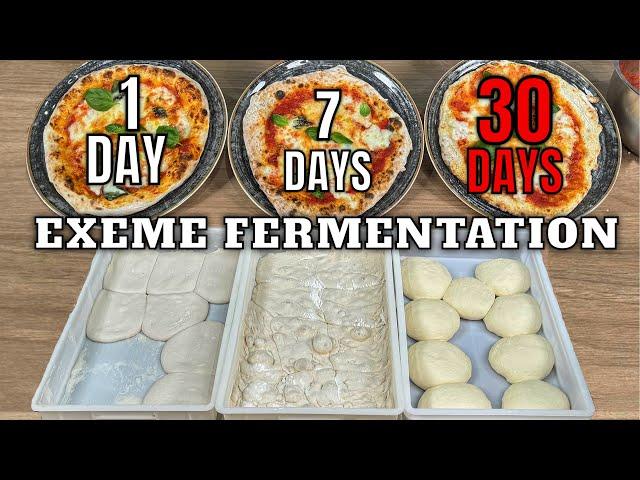 I Fermented Pizza Dough To The Limit