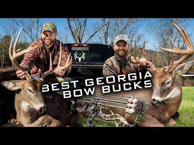 Waddell's Top 3 Georgia Bow Bucks! Best of Bone Collector