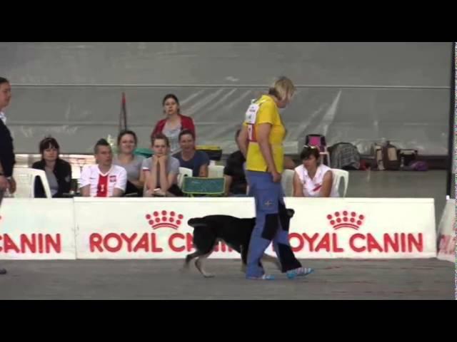 World Championship Obedience Maria Brandel part 2