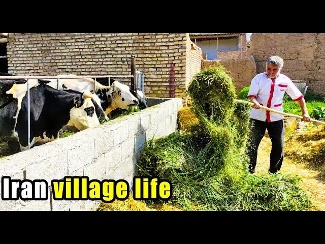 Iran rural life, daily village events in Iran 2024