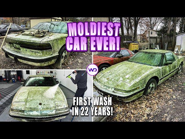 Disaster Barnyard Find | Moldiest Reatta EVER! | First Wash In 22 Years | Car Detailing Restoration