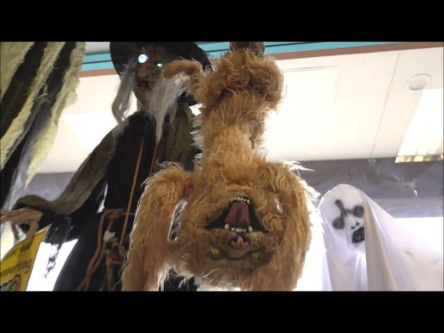 Halloween Superstore FREAKY FINDZ San Marcos Texas (Halloween 2020)