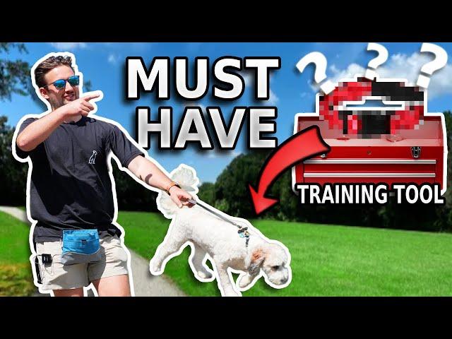 Use THIS to Stop Leash Pulling (not what you think!)