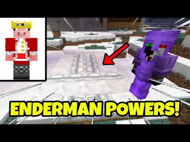 Ranboo SHOWS Technoblade his NEW Enderman Powers! (Lore - Dream SMP)