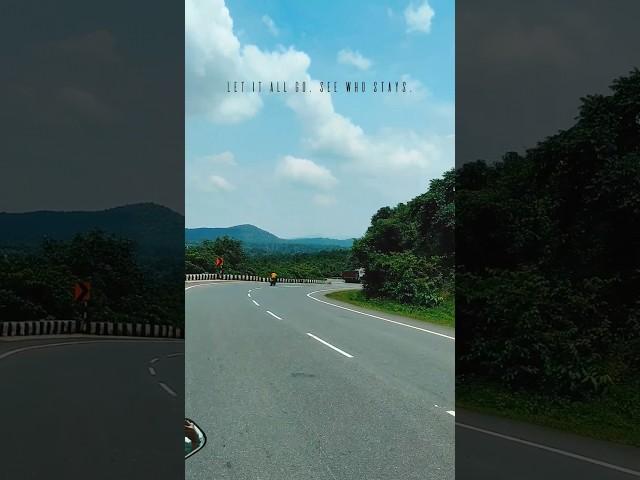 Good company in a journey makes the way seem shorter.#shortsfeed #trending #viral #trending #shorts
