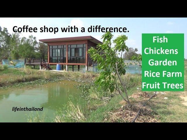 A very unique coffee shop in rural Thailand, hobby farm selling coffee.