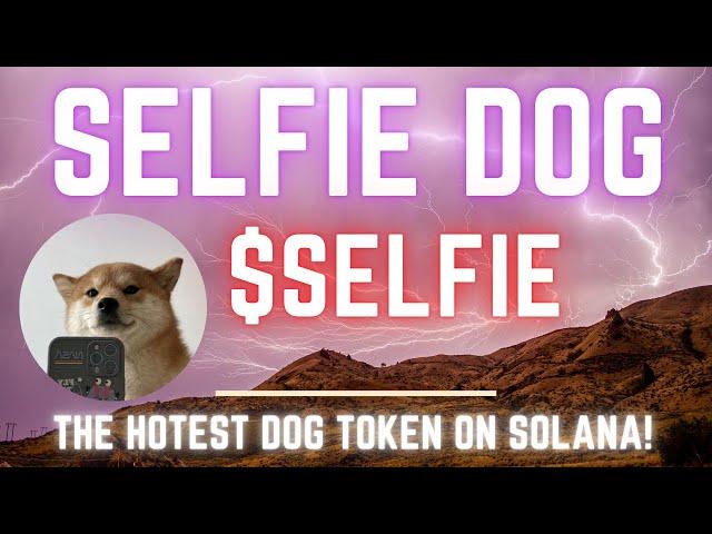 Selfie Dog | The Most Photogenic Dog on Solana! $SELFIE