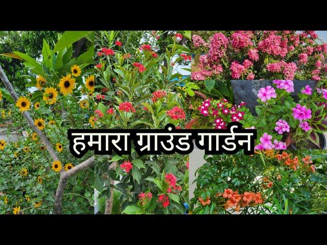 Our Ground Garden Flowers and it's Care || Ground Guardian Overview #hamaribagiya