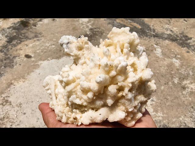 钟乳石方解石共生矿 | Stalactite Calcite Symbiosis