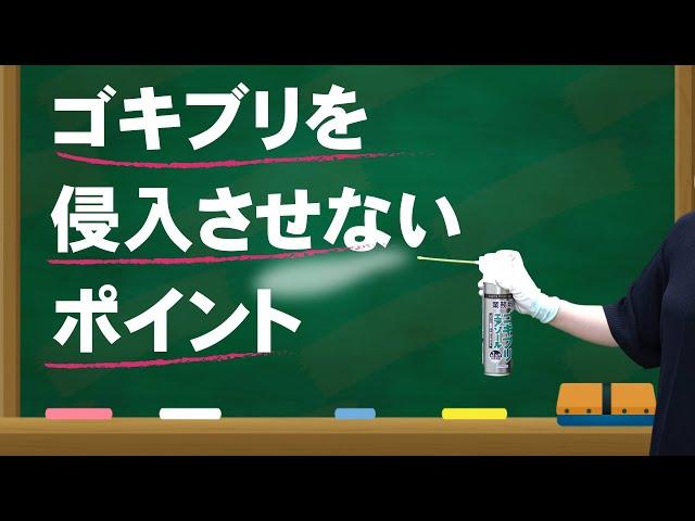 【ゴキブリ対策】業務用ですが女性にも簡単！！スプレーするだけ、ゴキブリを家に侵入させないポイントを教えます。