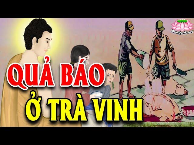 Chuyện Nhân Quả Báo Ứng, QUẢ BÁO GI.ẾT HEO Rợn Người Ở TRÀ VINH Khiến Hàng Triệu Người Rơi Nước Mắt