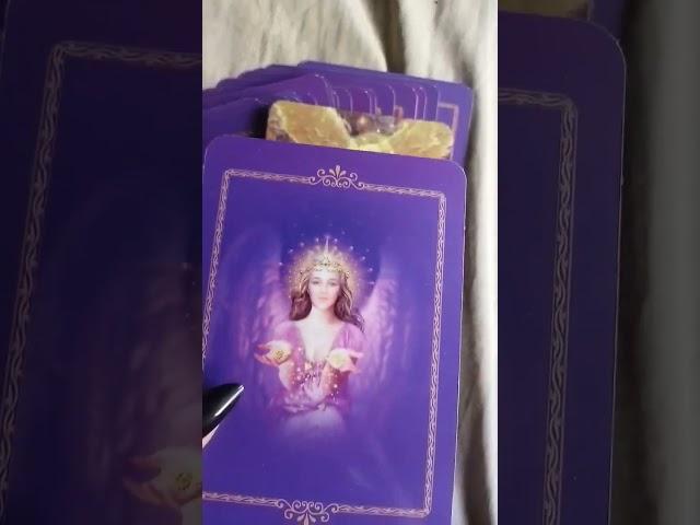 Günün Melek Mesajları 