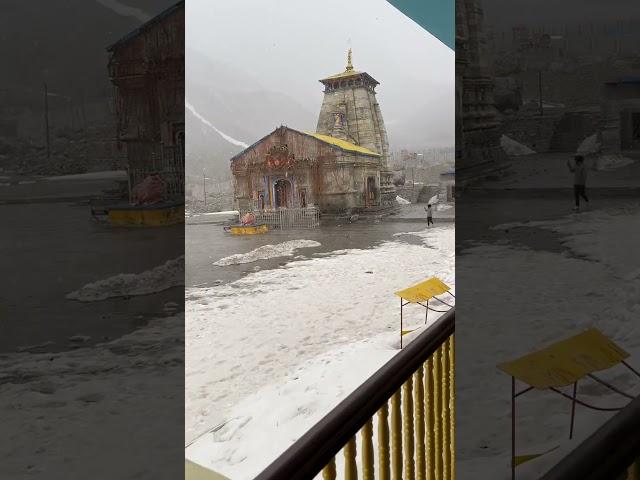 Kedarnath Mandir || Kedarnath Dham Uttarakhand || Snowfall Video Kedarnath Mandir