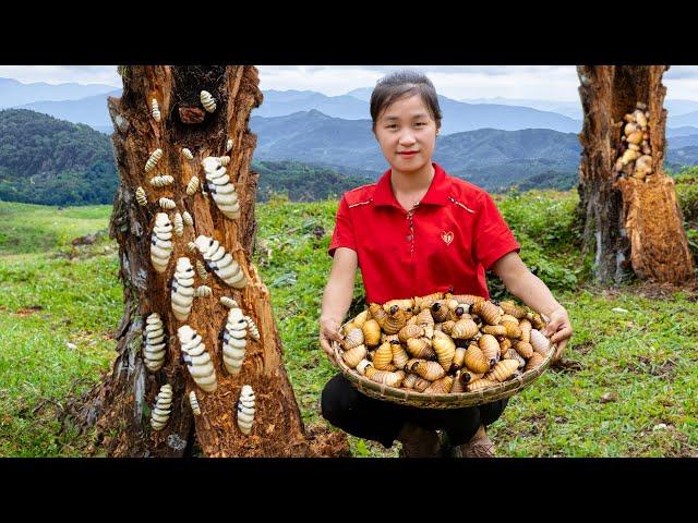 Harvest Coconut Weevils Goes To Market Sell - Daily Work Of Rural Women | Ella Daily Life