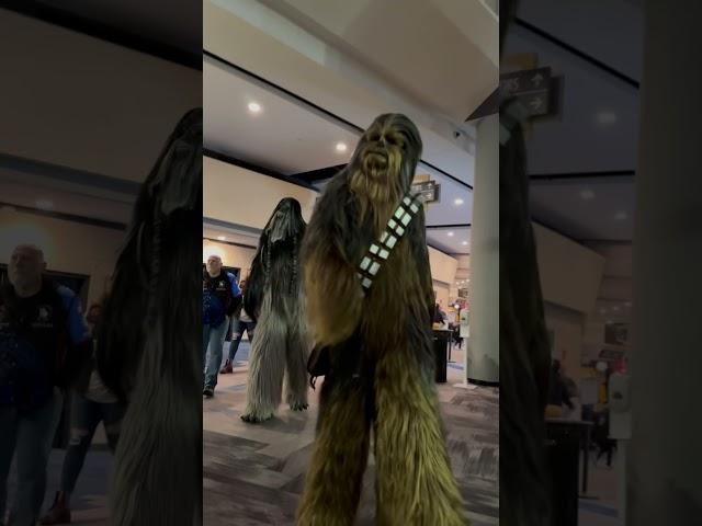 Walking with the Wookies! #starwars #disney #chewbacca #501stlegion