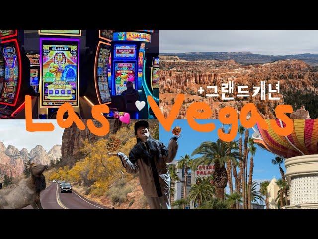 ep.마지막 vlog | 라스베가스 꼭! must! 필수코스 그랜드캐년 투어와 O쇼 다녀오다 | 스피릿항공, 플래닛 할리우드, 그랜드캐년 투어, 엠앤엠월드, 코스모폴리탄 호텔!