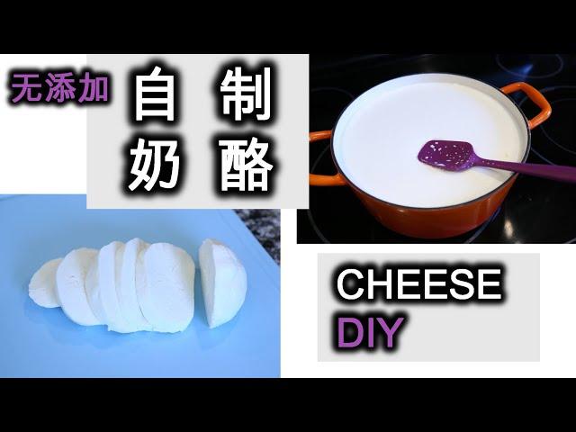 第一次奶酪制作 Mozzarella Cheese make