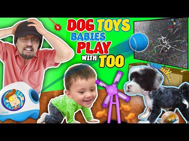 DOG TOYS vs TV! FUNnel Family Vlog