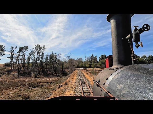 Driver's Eye View Plus - Steam in South Africa at Sandstone Estates with Avonside 0-4-0T “Xanthe”