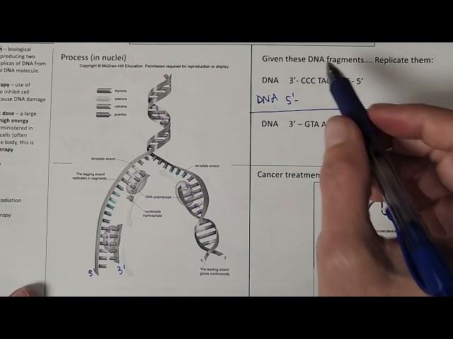 Replication introduction