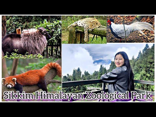 Exploring Sikkim Himalayan Zoological Park* BULBULAY, GANGTOK* | After 5 years | Complete Change.