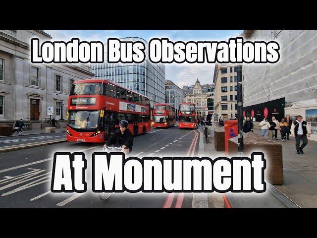 London Bus Observations at Monument