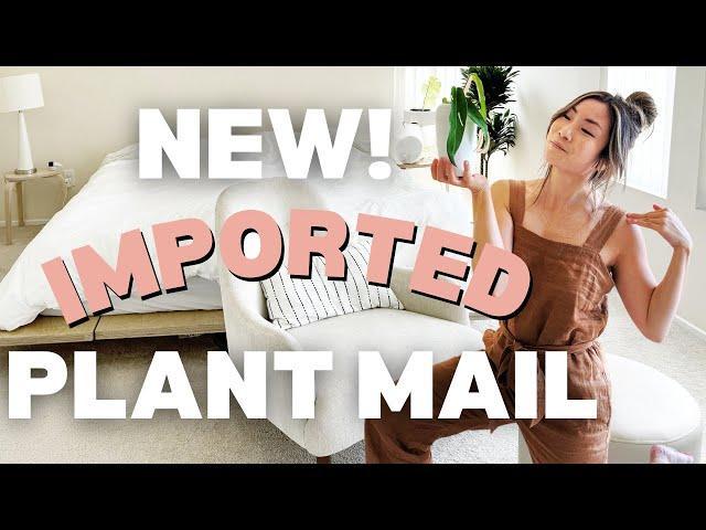 New IMPORTED Plant Acclimation and Care️  | Houseplant Care Routine + Tips  | Greenhouse