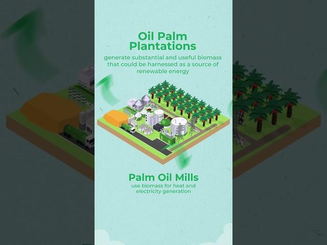 Malaysian Palm Oil- Biomass