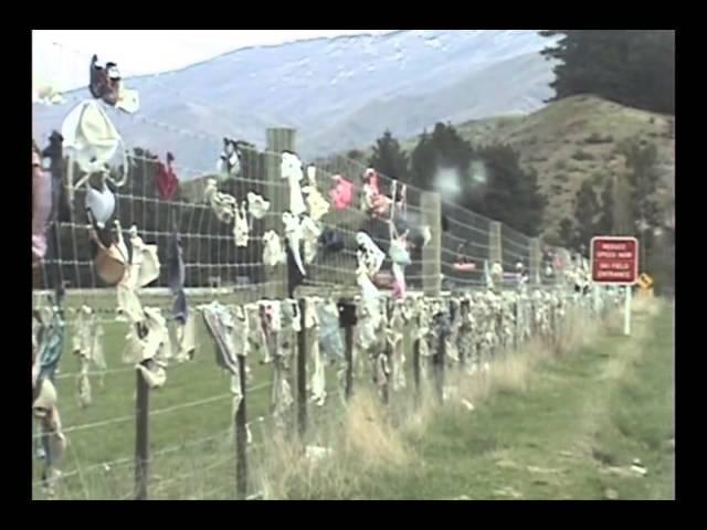 Cardrona Bra Fence in New Zealand