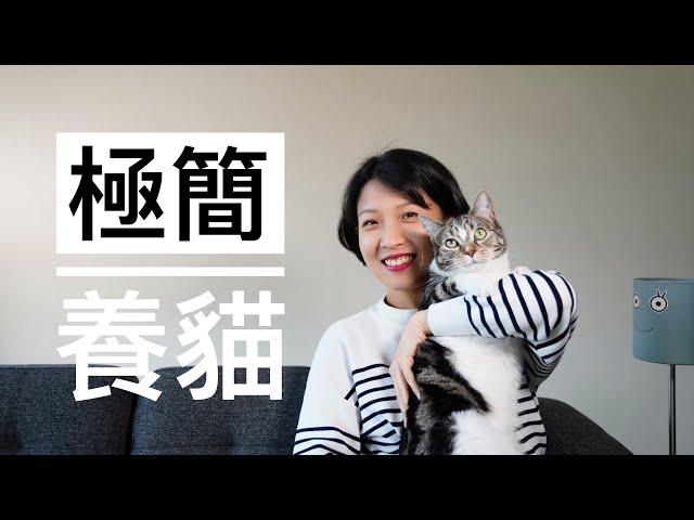 【极简养猫】有些东西猫咪真的不需要