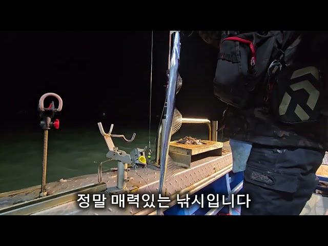 현주피싱!! 계속되는갈치대박행진조황 현재통영은 텐야텐빈으로 북적이고있습니다!!