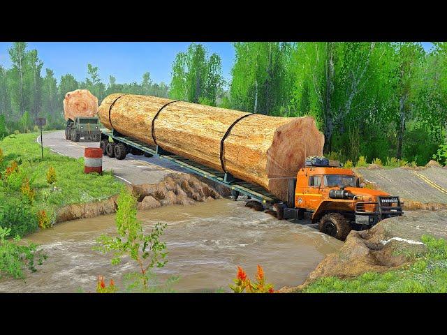 World's Largest Logging Trucks in Action: Incredible Heavy Equipment Machines at Work in the Forest