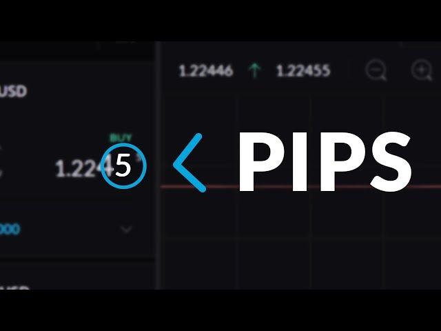 What is a Pip or Point | Trading Terms