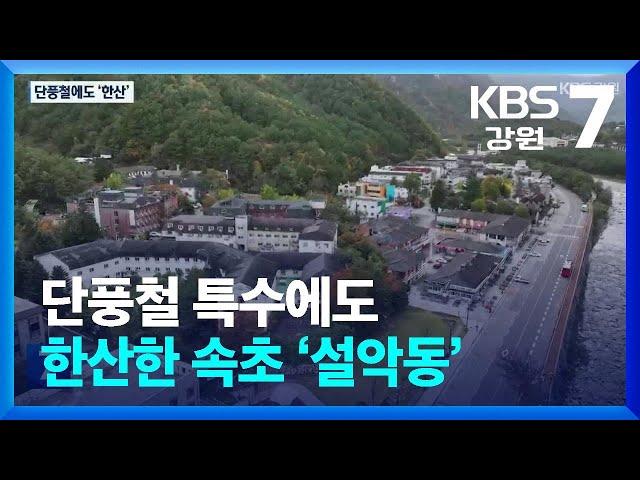 단풍철 특수에도 한산한 속초 ‘설악동’ / KBS  2024.11.05.