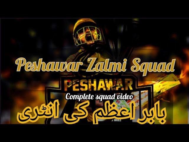 Peshawar Zalmi complete squad for psl 2023 | crickview by MS#crickviewbyMS#peshawarzalmisquad