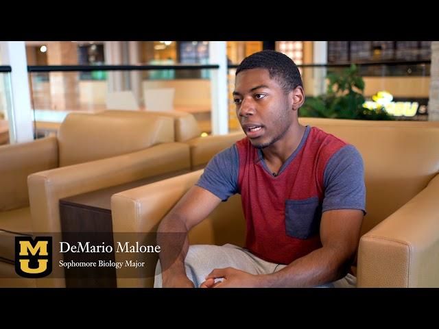 University of Missouri System - Student Success
