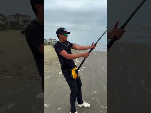 Using a Whole Fish to catch Beach Monsters! #dronefishing #swellpro #catchandrelease #bigbaitbigfish