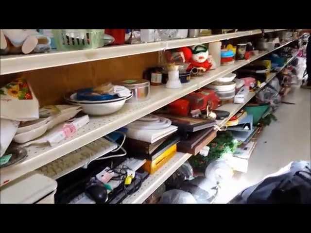 RV Stuff - Thrift Store Haul-- Great for RV'ers (Also Cat warning)