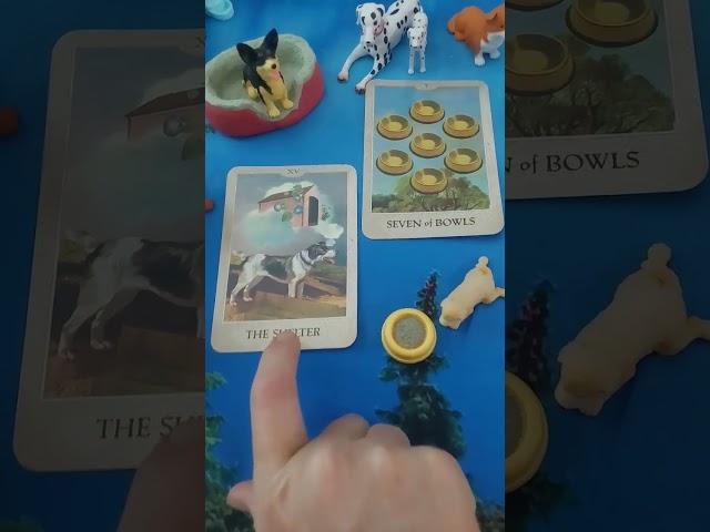 Wishing they hadn't ruined their happy home.. #tarot#tarotreading #capricorn #libra #saguttarius