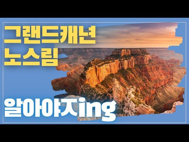 [미국오면] 그랜드캐년 국립공원 노스림 (Grand Canyon National Park North Rim) - 쉽게 허락하지 않는 원시림이 있는 곳!