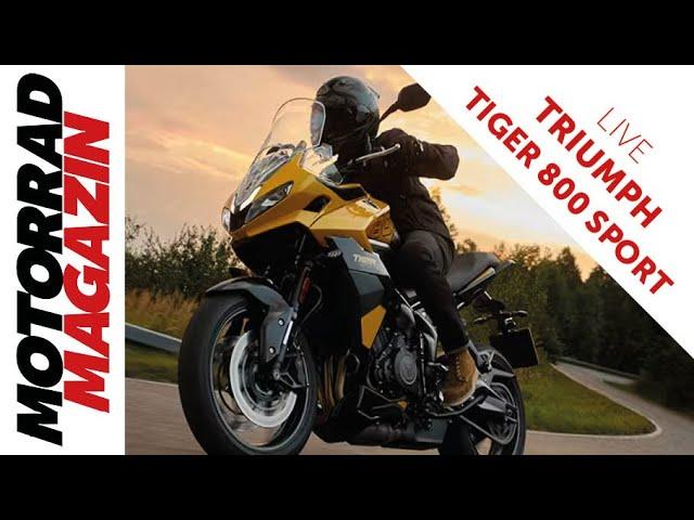 Bestes Straßenmotorrad? Tiger Sport 800 auf der EICMA. Was sagt der schnellste Street-Triple-Fahrer?