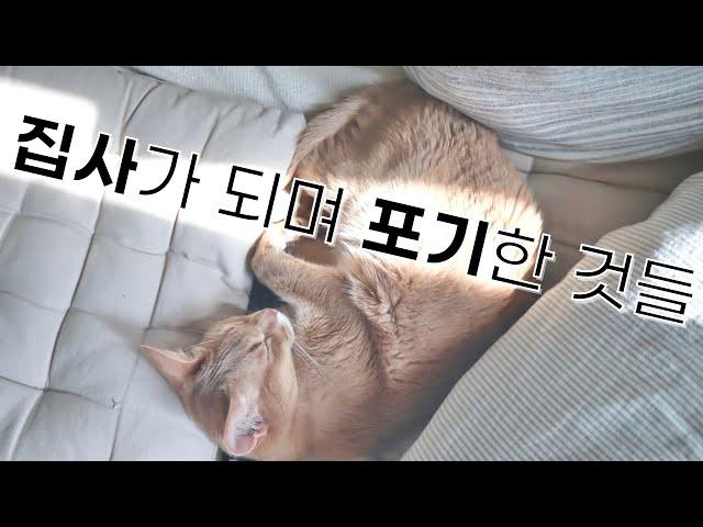 고양이 집사가 되며 포기한 것들 (고양이 입양 전 알아야 할 점)