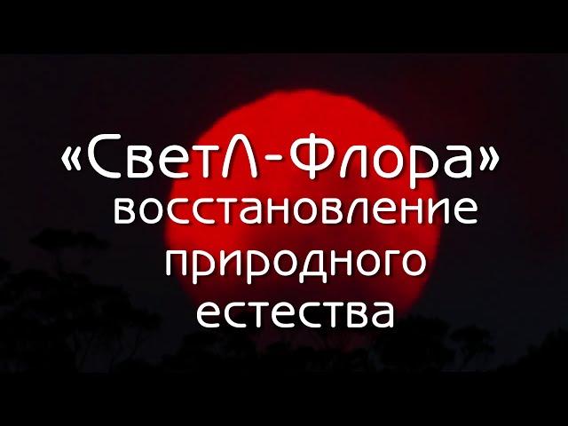 "СветЛ-Флора" - восстановление природного естества