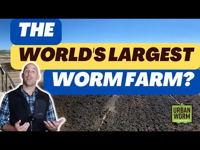 The World's Largest Worm Farm (You've Never Heard Of)